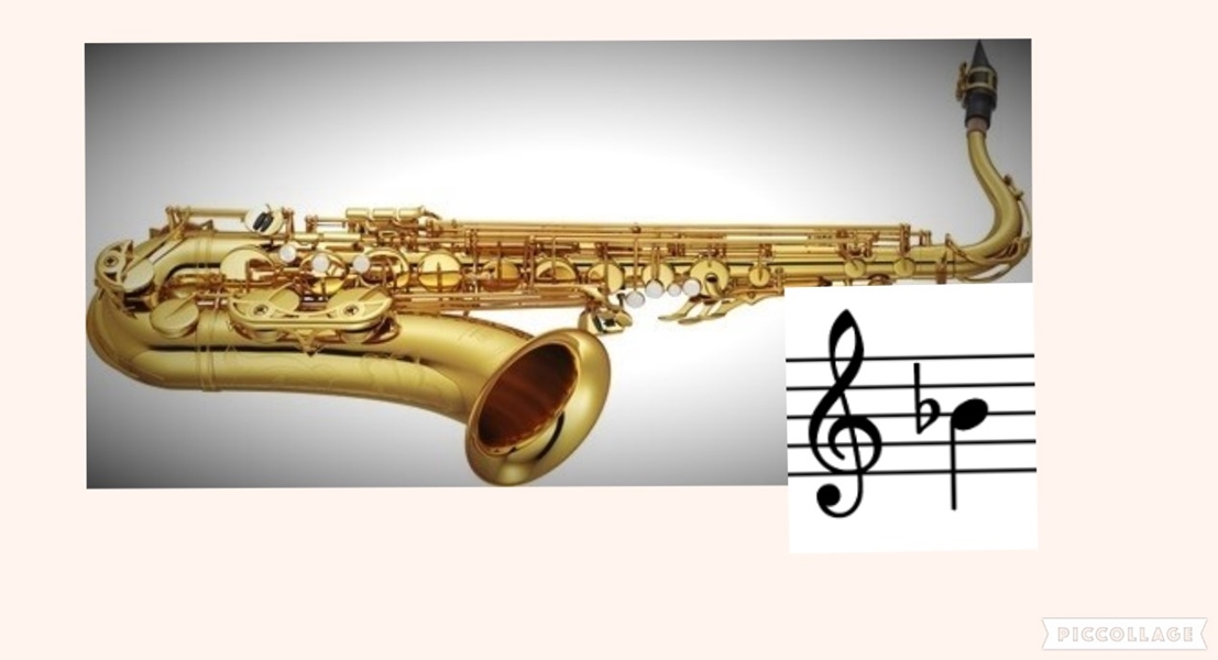 Collage 2019-02-11 17_53_06b